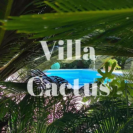 Cactus Vila Syracuse