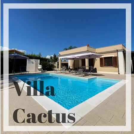 Cactus *